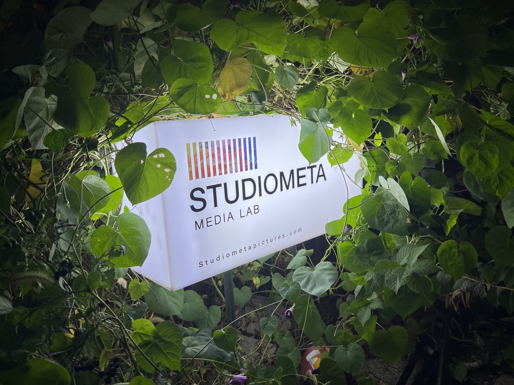 STUDIOMETA visual 2